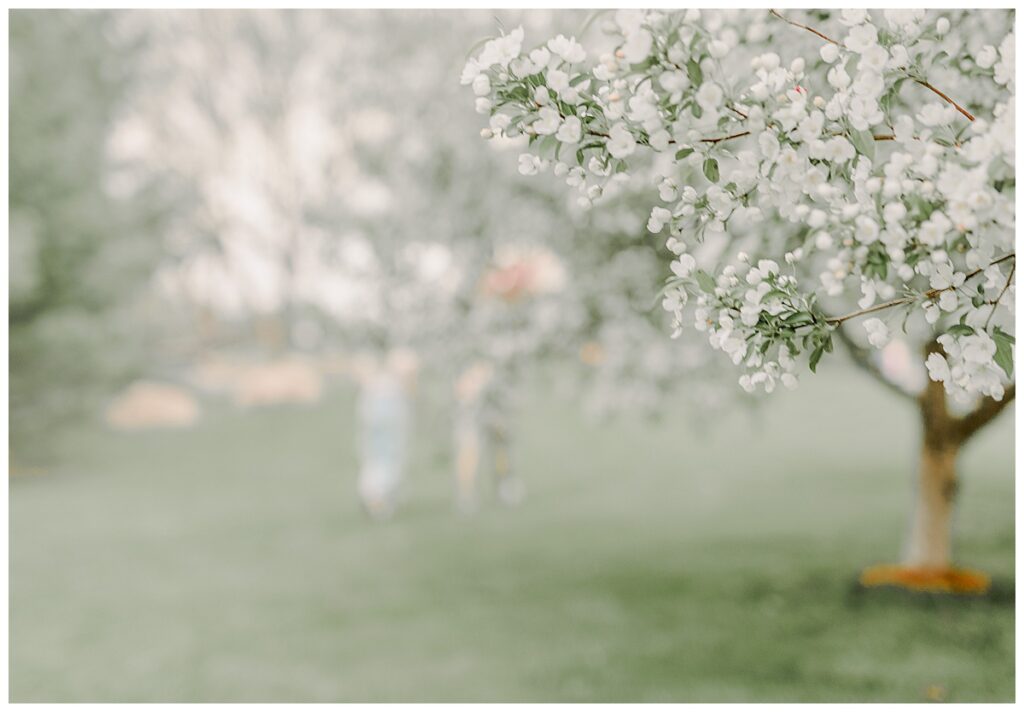 Blurred out photo of family walking in the background, focus is on tree blossoms in the springtime at Phoenix Park in Eau Claire, Wisconsin Wisconsin Wedding photographer. Eau Claire Family Photos.
