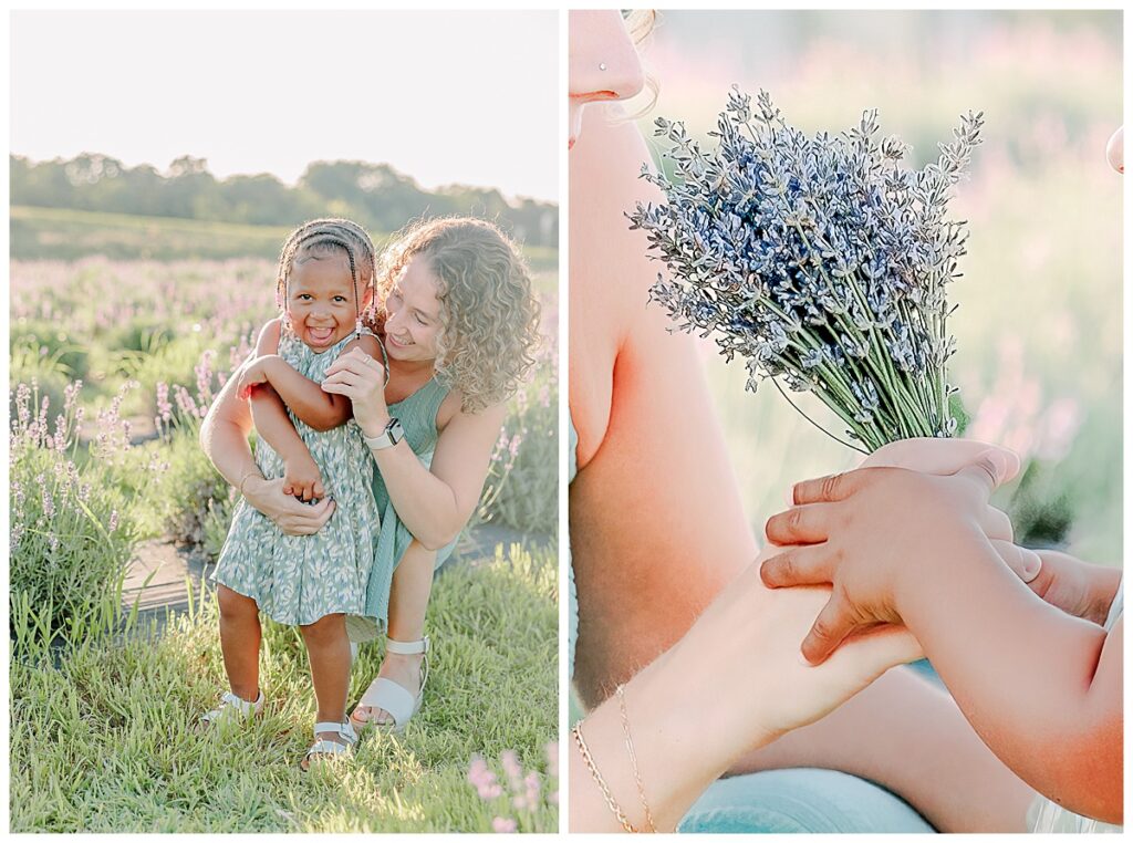 Eau claire motherhood portraits lavender field family photography_ mom and daughter laughing in a field of lavedner close up of lavender freshly picked in eau claire near chippewa falls